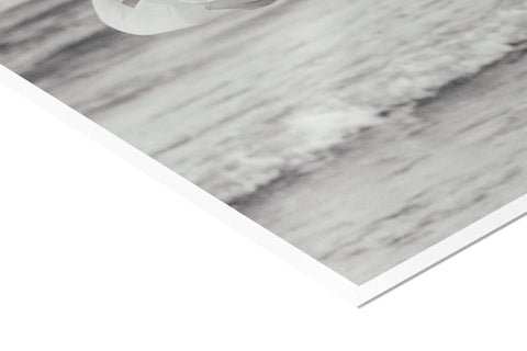 Diffuse Reflection