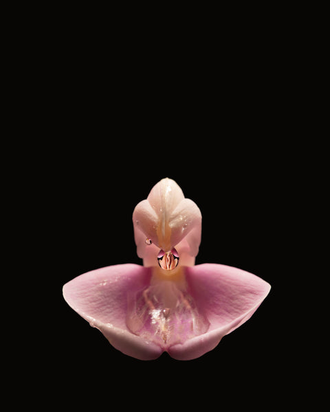 Flower in Flower