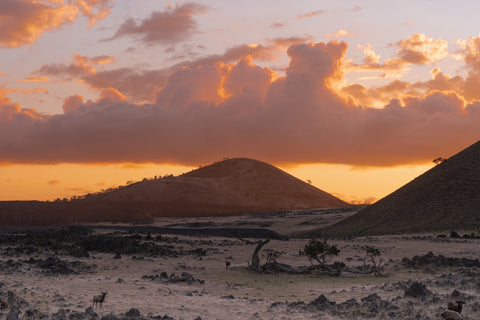 Mauna Kea III