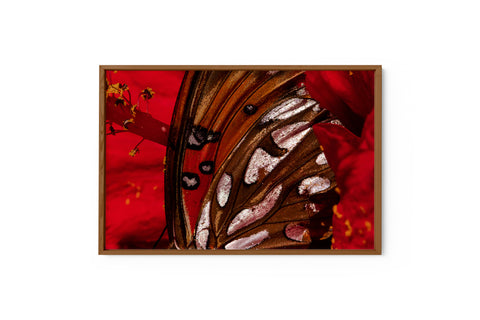 Beyond the Chrysalis