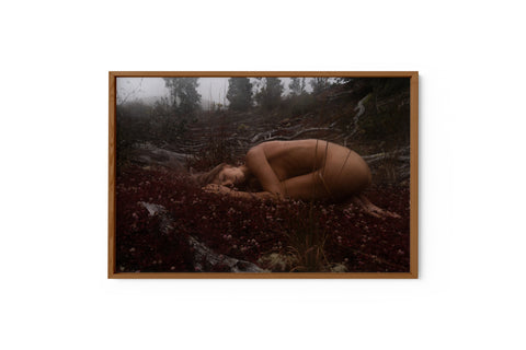 Home II