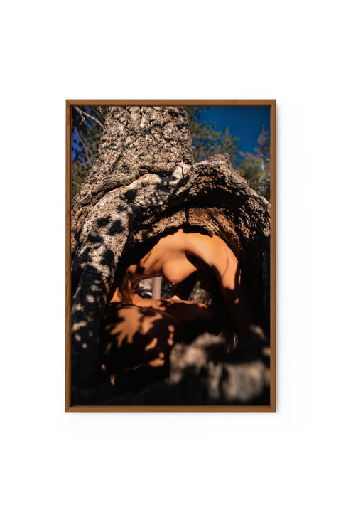 A Tree Within