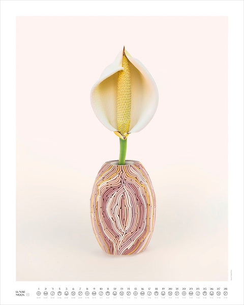 Flowers of Life (Art Prints + Book)