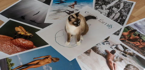 Earth Family 2021 Calendar / Art Prints