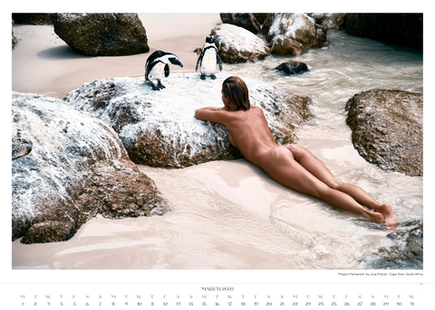 Earth Family 2021 Calendar / Art Prints